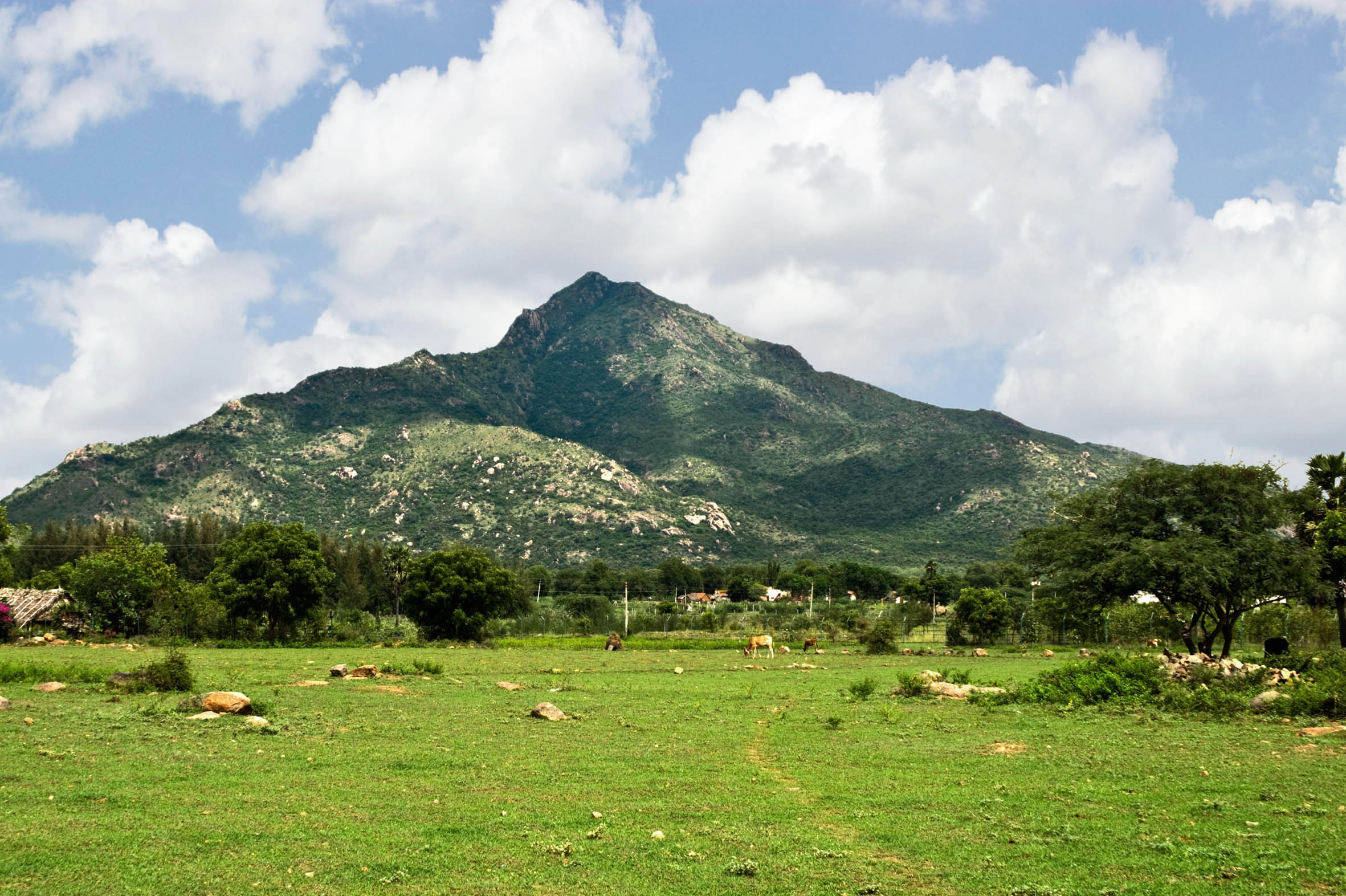 Arunachala Hill